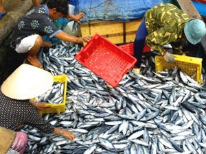 Tổ chức tốt Tổng điều tra nông thôn, nông nghiệp và thủy sản năm 2011